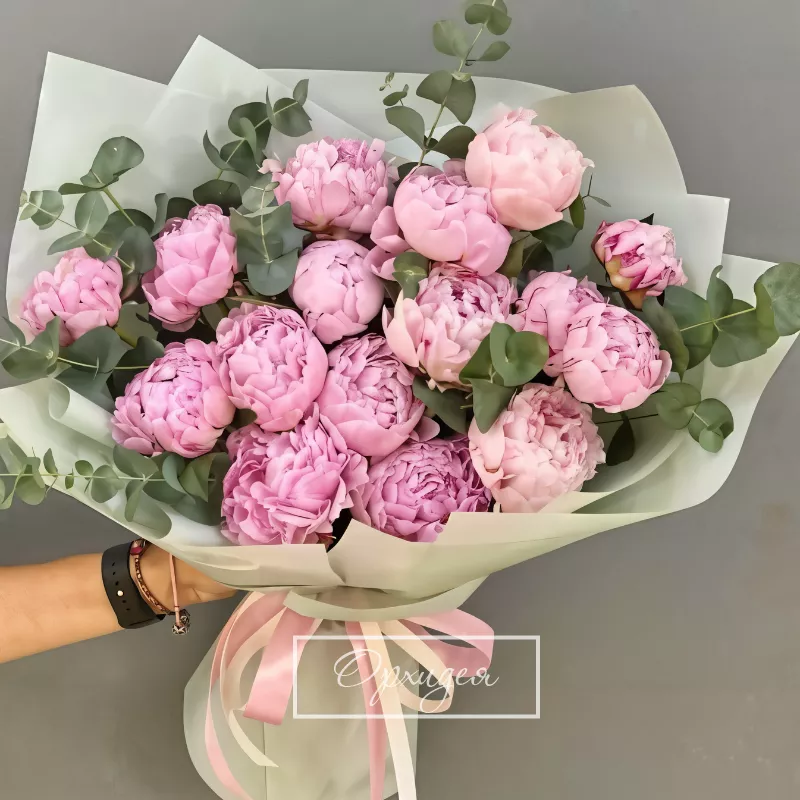 Пионы Краснодарские 15 шт