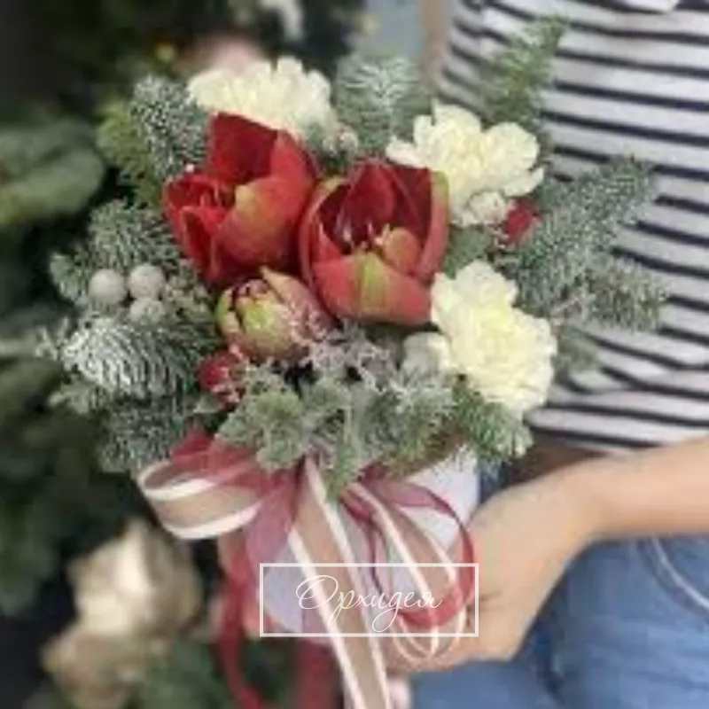 Композиция с Аморилисом и хвоей